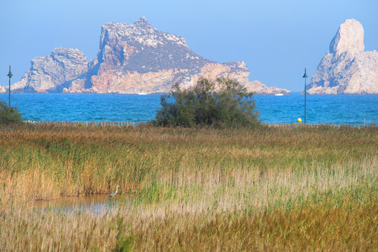 Landscape with Medes islands
