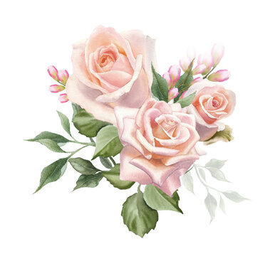 Watercolor bouquet of  blush rose flower isolated on a white background. The trendy elegant design for wedding invitation, poster, greeting cards, stationery  design. Hand drawn floral illustration.