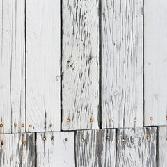 The white wood texture with natural patterns background