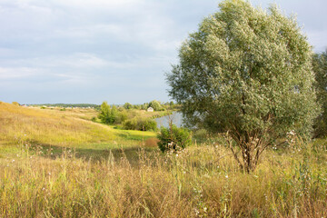 Obraz premium Russian landscape of August with dried grass, lake and trees, summer evening in Russia.