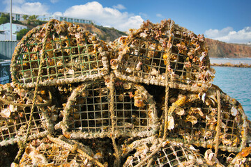Pile of old lobster pots, densely covered with all kinds of molluscs.
