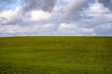 green field and cloudy sky
