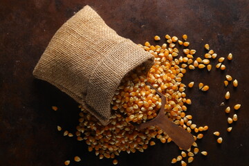 Corn with wooden scoop in burlap bag isolated on dark rustic background. Corn seeds in sack. Dry...