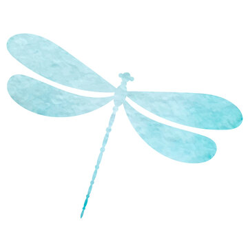 dragonfly blue watercolor silhouette isolated, vector