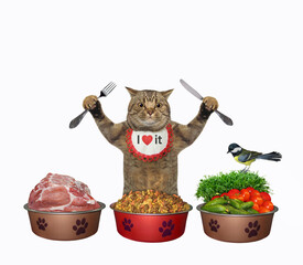 A beige cat is near three bowls of food. The first with meat, the second with dry food and the...