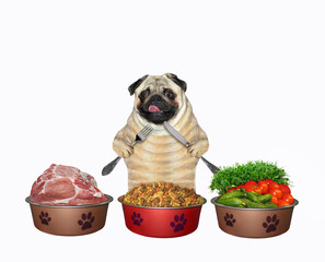 A dog pug is near three bowls of food. The first with meat, the second with dry food and the third...