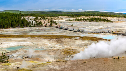 Panoramic view of a large geyser field in Yellowstone National Park, WY, USA
