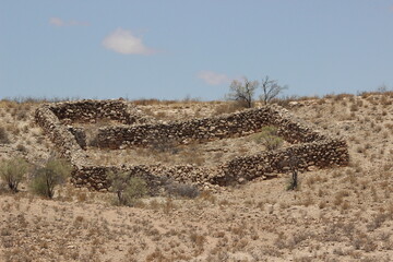 Auchterlonie paddock, Kgalagadi