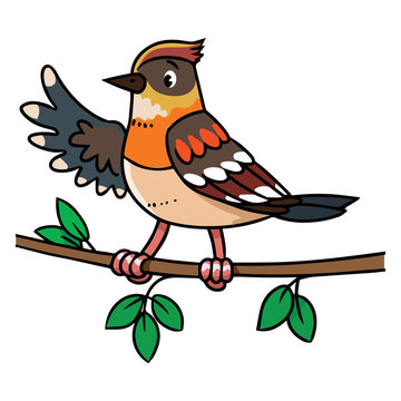 Little bird. Funny kids vector illustration series