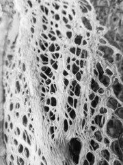 Texture, made with molten styrofoam tray, creating volumes and shapes. Selective focus
