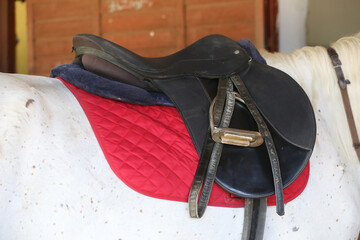 . Equestrian sport background outdoors