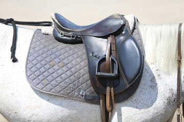 . Equestrian sport background outdoors