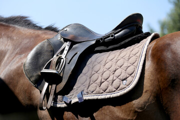 . Equestrian sport background outdoors