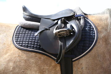 . Equestrian sport background outdoors