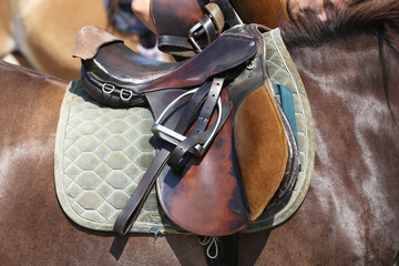 . Equestrian sport background outdoors