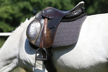 . Equestrian sport background outdoors
