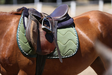 . Equestrian sport background outdoors