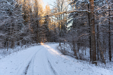 Empty snow covered road in winter landscape. Forest in sunny day