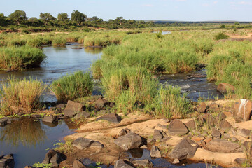 Sabie River / Sabie River /