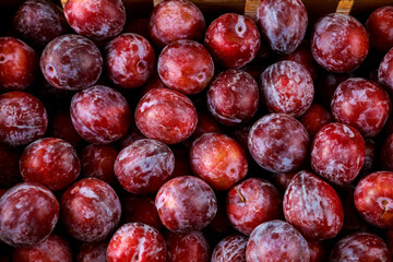 Top view of shiny sweet red plum.