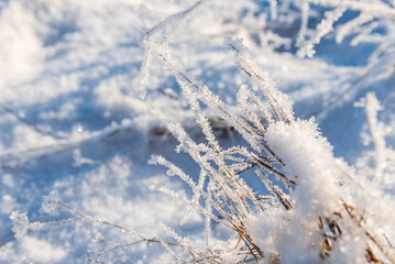 White ice crystals on grass in bright sunlight. Snow crystals close-up on a bright frosty winter day. White sparkling snow surface close up