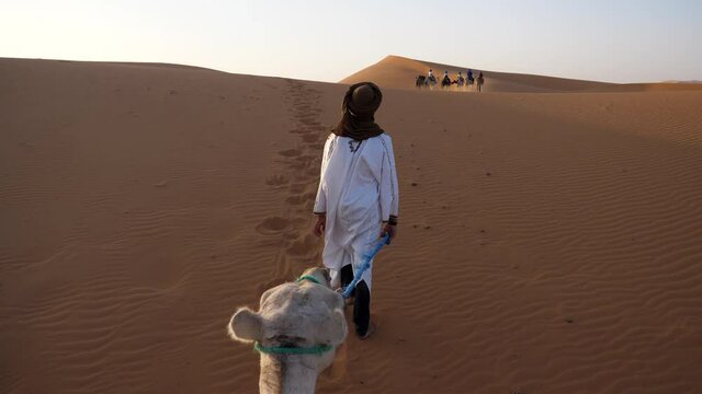 Camel riding during sunset in Sahara desert, Morocco