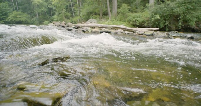 A clean healthy fresh shallow water stream flowing in wooded forest in slow motion as rocks and river stones create riffles and rapids when cascades downstream from pools form