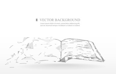 Abstract vector white back ground.The book polygon drawing