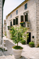 Fototapeta na wymiar Cozy old stone house with shutters, small balconies, trees in pots