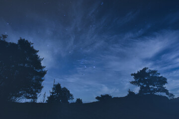 Sternenhimmel mit Bäumen