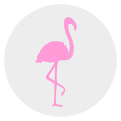 Flamingo. Cartoon bird. Image for polygraphy, t-shirts and textiles. Web icon
