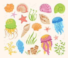 Seashells cartoon hand drawn set. Ocean marine shell, starfish, spiral mollusk seaweed, conch and jellyfish. Tropical under water design elements flat colorful sea shells. Isolated vector illustration