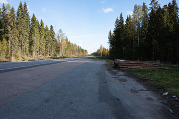 Obraz premium road in the forest