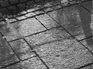 Obraz premium 散歩中に見つけた風景