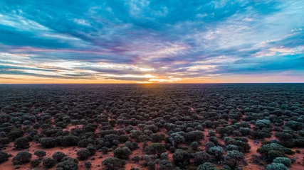 Rolgordijnen Drone Shot of the Sun setting on Goldfields Highway South Australia © Overflightstock