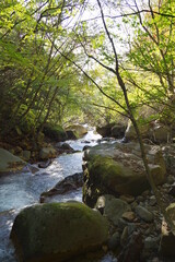 Obraz premium 横谷渓谷