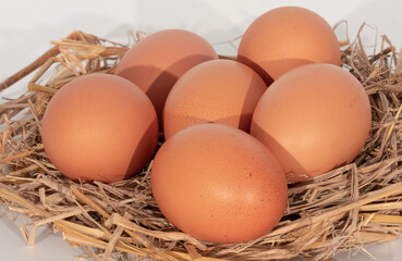 isolated on white background,organic chicken eggs.