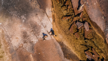 Drone shot of Seals at Point Labatt Sceale Bay South Australia
