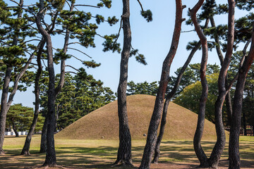 the beautiful view of  royal tumb, Gyeongju, Korea