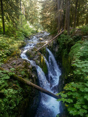 Waterfall in Rainforest 