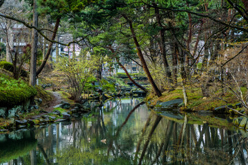 公園の木々と池
