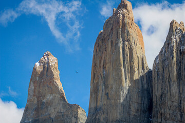 Majestic Condor Over the Torres del Paine Pearks, Chile