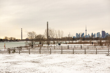 Fototapeta premium An off leash dog park along the shore of Lake Ontario on a snowy day. Shot in Toronto’s iconic Beaches neighbourhood in January. 