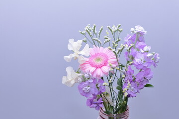 花束｜ガーベラ・スイトピー