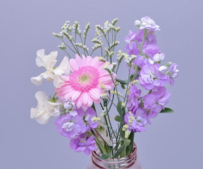 切り花｜ガーベラ・スイトピー