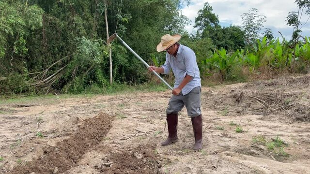 Gardener man digging long lines of soil to prepare vegetables, natural farming lifestyle concept