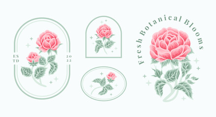 Fototapeta na wymiar Set of vintage feminine beauty pink rose floral logo elements with frame and turquoise leaf branches