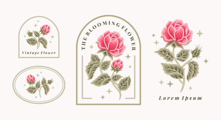 Set of vintage feminine beauty red rose floral logo elements with frame and green leaf branches