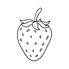 Strawberry hand drawn outline doodle icon. Vector sketch illustration of healthy berry - fresh raw strawberry for print, web, mobile and infographics isolated on white background.