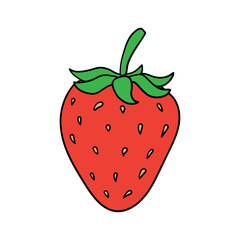 hand drawn doodle strawberry fruit illustration cartoon vector
